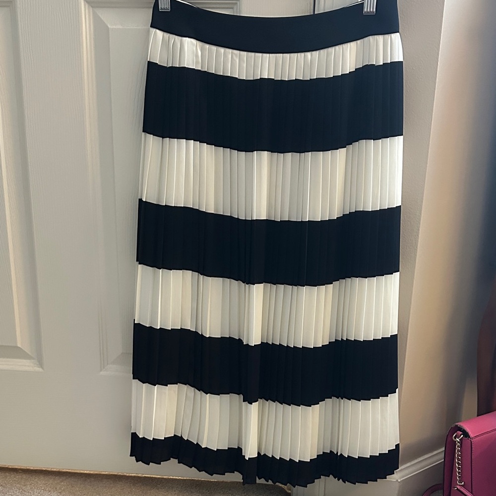 Navy and White Pleated Women's Skirt